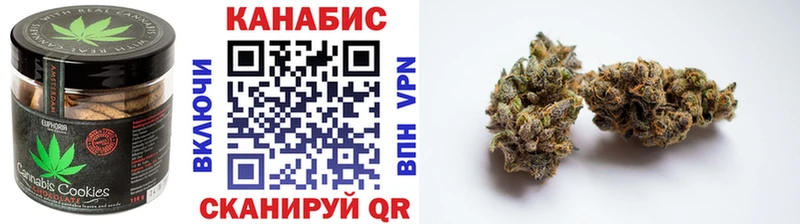 Купить где  Жирновск  Canna-Cookies конопля 
